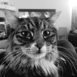 Meet your Posher, Traci